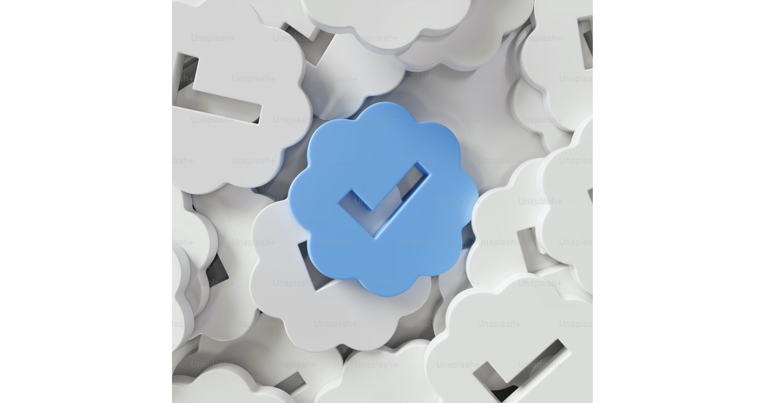 User Login with JWT